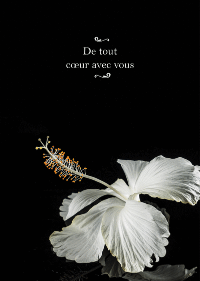 Carte De Tout Coeur Avec Vous Fleur Blanche : Envoyer une vraie Carte  Condoléances dès 0,99€ - Merci Facteur