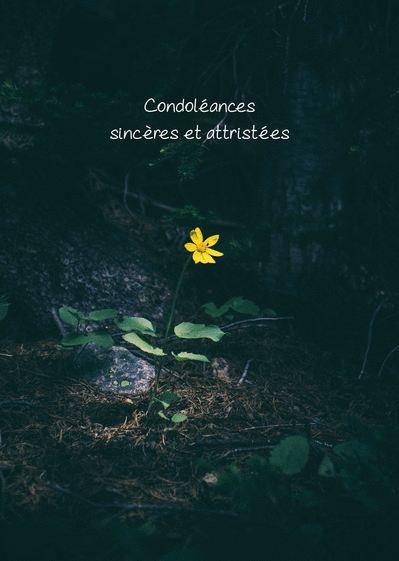 Exemples Mot Pour Carte Qui Accompagne Des Fleurs Funéraires