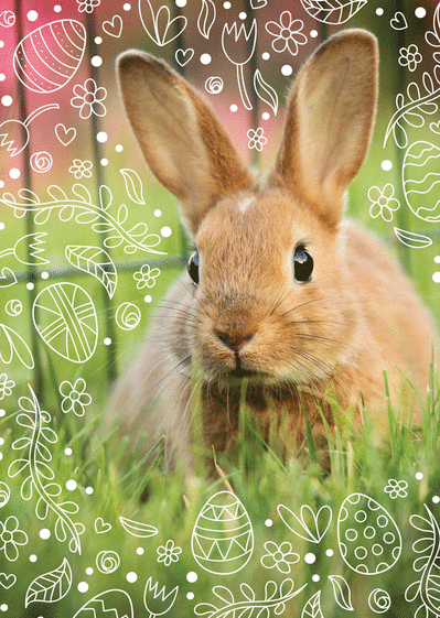Carte Photo Du Lapin De Paques Envoyer Une Vraie Carte Paques Des 0 99 Merci Facteur