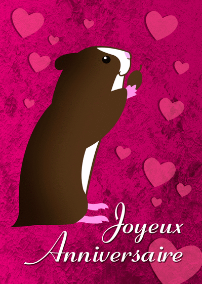 Carte Joyeux Anniversaire Hamster Envoyer Une Carte Anniversaire Animaux Des 0 99 Merci Facteur