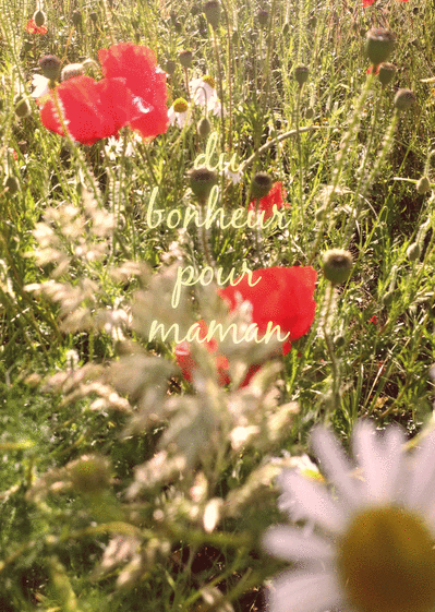 Carte Coquelicots Et Bonheur Pour Maman Envoyer Une Vraie Carte Fete Des Meres Avec Des Fleurs Des 0 99 Merci Facteur Carte Coquelicots Et Bonheur Pour Maman Envoyer Une Vraie Carte Fete Des Meres Avec Des Fleurs Des 0 99 Merci Facteur