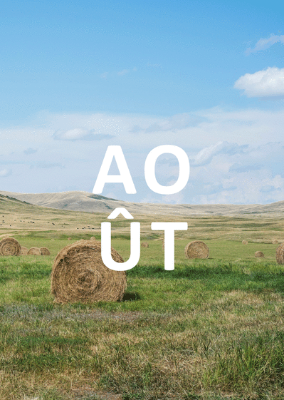 Carte Mois D Aout A La Campagne Envoyer Une Carte Postale D Aout Et Vacances Des 0 99 Merci Facteur