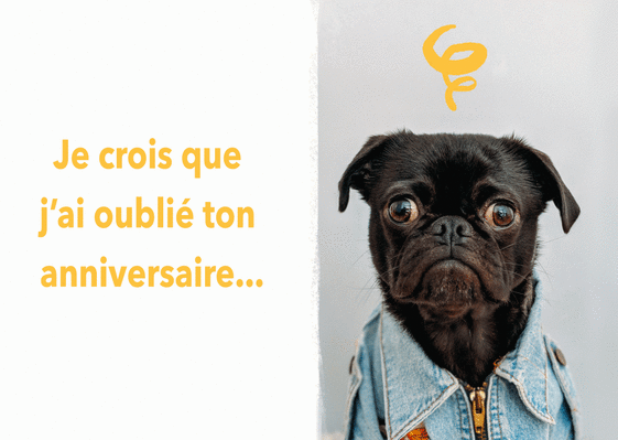 Carte Toutou Qui Oublie Les Anniversaires Envoyer Une Vraie Carte Anniversaire En Retard Des 0 99 Merci Facteur