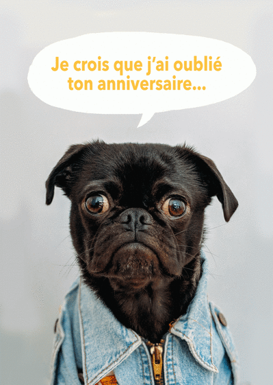 Carte Chien Etourdi Envoyer Une Carte Anniversaire En Retard Des 0 99 Merci Facteur