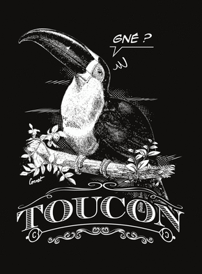 Toucan c`est tout con