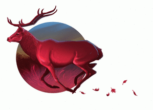 Un cerf dans les bois