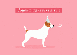 Joyeux anniversaire jack russel et chapeau pointu