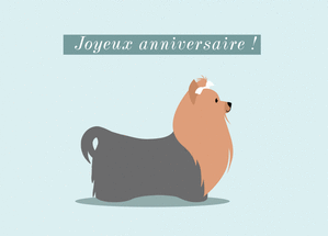 Joyeux anniversaire yorkshire et noeud blanc