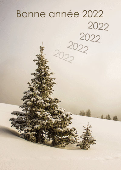 Carte Sapin Enneigé Pour La Bonne Année 2022 : Envoyer une vraie Carte De  Voeux Nature 2022 dès 0,99€ - Merci Facteur