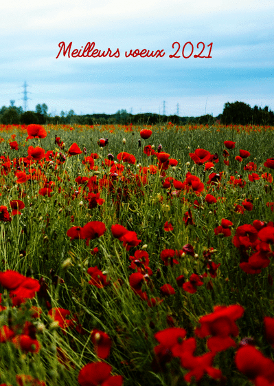 Carte Meilleurs Voeux 21 Et Coquelicots Envoyer Une Carte De Voeux 21 Avec Des Fleurs Des 0 99 Merci Facteur Carte Meilleurs Voeux 21 Et Coquelicots Envoyer Une Carte De Voeux 21 Avec Des Fleurs Des 0 99 Merci Facteur