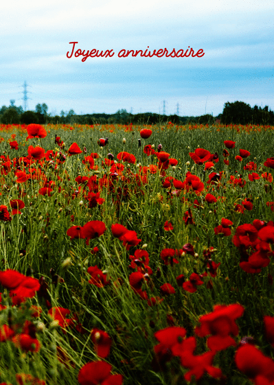 Carte Joyeux Anniversaire Et Coquelicots : Envoyer une 