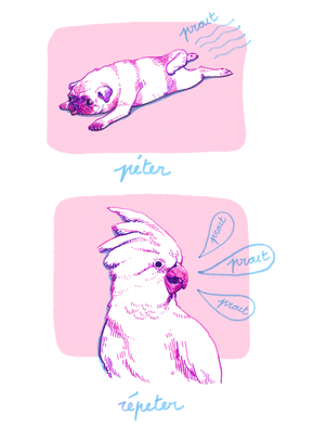 Un perroquet qui r&eacute;p&egrave;te