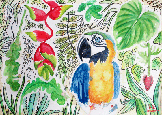 Carte Perroquet Dans Sa Jungle Luxuriante Envoyer Une Carte Avec Un Oiseau Des 0 99 Merci Facteur