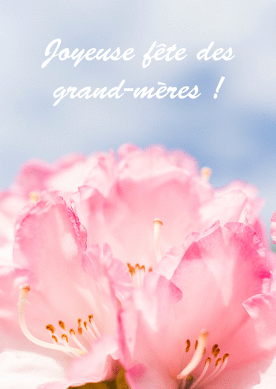 Carte Joyeuse Fete Des Grand Meres Et Fleur Rose Envoyer Une Vraie Carte Fete Des Grand Meres Des 0 99 Merci Facteur