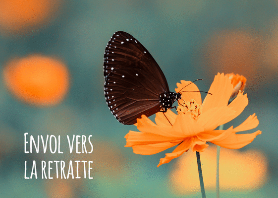Carte Envol Du Papillon Vers La Retraite Envoyer Une Vraie Carte Depart En Retraite Des 0 99 Merci Facteur