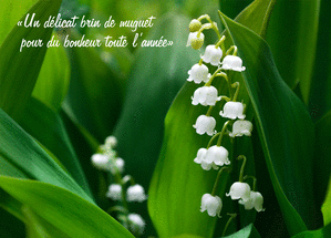 carte anniversaire avec muguet Carte Muguet Pour Du Bonheur Toute L Annee Envoyer Une Carte 1er carte anniversaire avec muguet