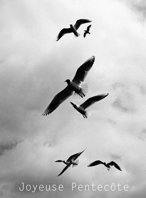 carte Oiseaux en vol pour une Pentecôte inspirante 