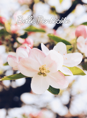 carte Fête florale pour une douce Pentecôte 