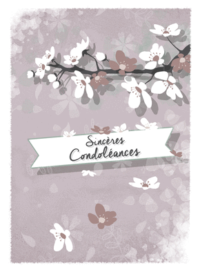 Carte De Condoleances Cartes Postales Fournitures De Bureau Tilakkitchenware Com
