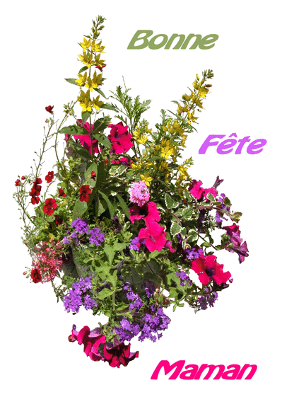 Www Merci Facteur Com Cartes R18 Autres Cartes C10 Divers 1 La Cuisine Www Merci Facteur Com Voeux 1 1la 1 La cuisine Maxi Gif Www Merci Facteur Com Cartes R16 Evenements De La Vie C27 Poemes Et Citations 4 Citation