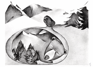 L`ours et sa for&ecirc;t