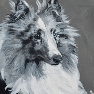 Berger des shetland en peinture