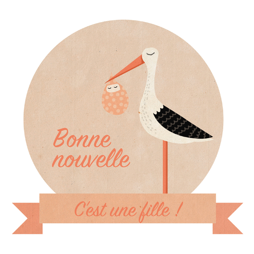 Carte Cigogne Et Bonne Nouvelle Fille Envoyer Une Vraie Carte Faire Part Naissance Fille Des 0 99 Merci Facteur