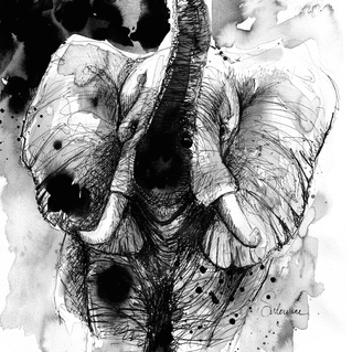 Un &eacute;l&eacute;phant &agrave; l`encre de chine
