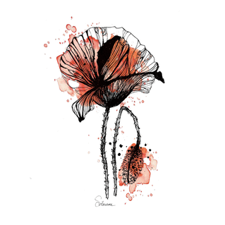 Joli coquelicot &agrave; la plume et encre de chine