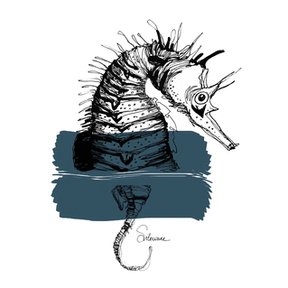 Hippocampe au feutre et &agrave; la peinture