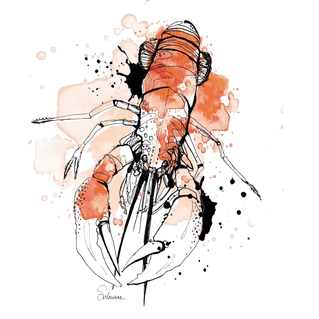 Homard &agrave; l`aquarelle