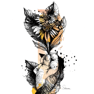 Marguerites &agrave; la plume et encre de chine