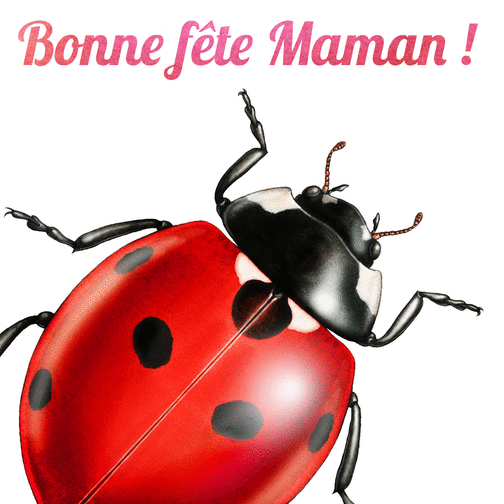 Carte Bonne Fete Maman Et Coccinelle Envoyer Une Vraie Carte Fete Des Meres Des 0 99 Merci Facteur Carte Bonne Fete Maman Et Coccinelle Envoyer Une Vraie Carte Fete Des Meres Des 0 99 Merci Facteur