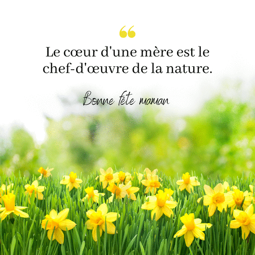 Champs de fleurs pour une maman exceptionnelle - envoi rapide, image size:504x504