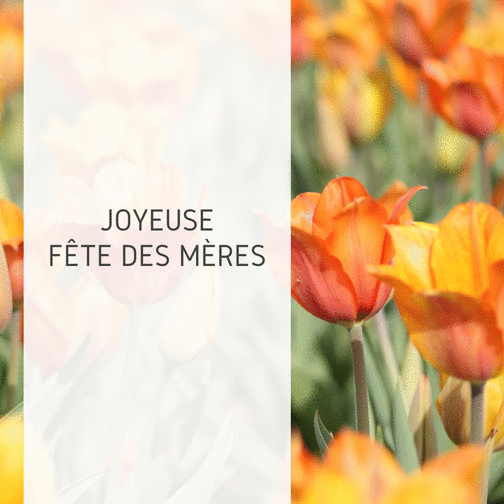 Carte Joyeuse Fete Des Meres Fleurie Envoyer Une Vraie Carte Fete Des Meres Avec Des Fleurs Des 1 99 Merci Facteur