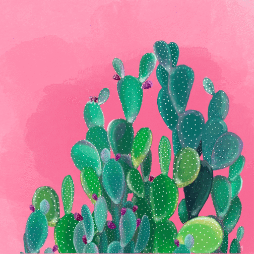 Cactus vibrant et soleil d't radieux - envoi rapide