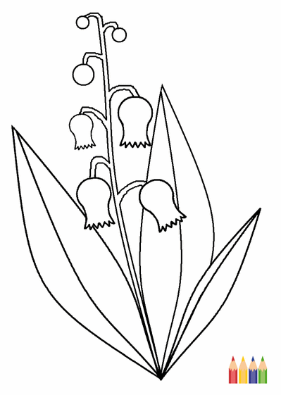 Carte Dessin Brin De Muguet à Colorier : Envoyer une Carte 