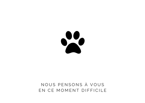 Carte Patte De Chien Ou Chat Suite A Son Deces Envoyer Une Vraie Carte Condoleances Pour Animal De Compagnie Des 0 99 Merci Facteur