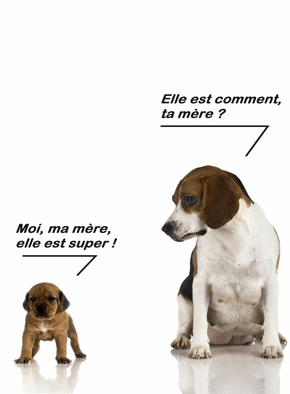 Carte La Petite Chien Et Chat : Envoyer une Carte Fête Des ...