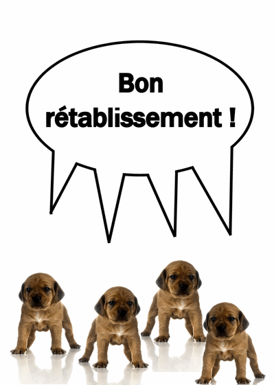 Carte Bon Retablissement Petit Chien Envoyer Une Vraie Carte Bon Retablissement Des 0 99 Merci Facteur Carte Bon Retablissement Petit Chien Envoyer Une Vraie Carte Bon Retablissement Des 0 99 Merci Facteur